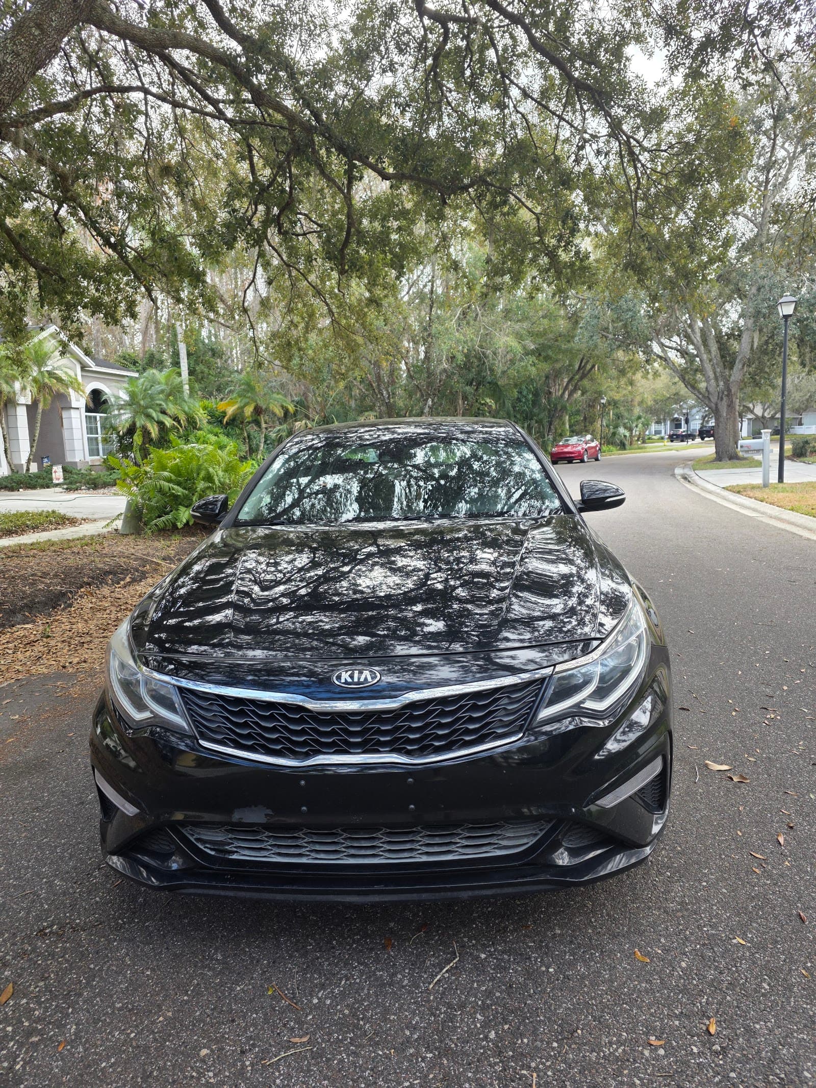 2019 2019 Kia Optima